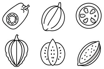 pawpaw line art drawing highlighting textures of the tropical fruit