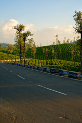 Tea plantation of Valparai