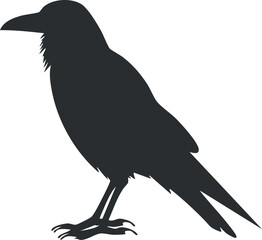 Obraz premium Silhouette of a raven standing, emphasizing its dark and mysterious avian features.