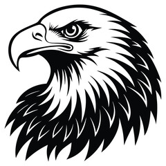 Obraz premium Eagle bald vector shilhouette single collection
