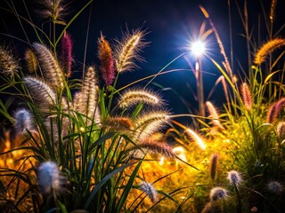 Nocturnal Wild Grass and Plants Intricate Details in a Stunning Night Photography Study