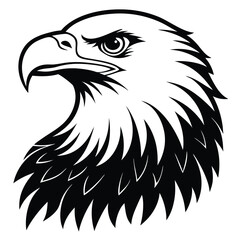 Obraz premium Eagle bald vector shilhouette single collection
