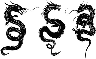 silhouette chinese dragon on white background, vector