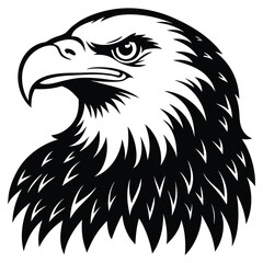 Obraz premium Eagle bald vector shilhouette single collection