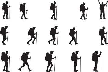 Obraz premium Hiker's Journey Through the Pines