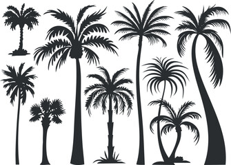 Silhouette collection of various palm trees in black and white, perfect for tropical designs.