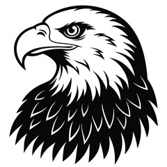 Fototapeta premium Eagle bald vector shilhouette single collection