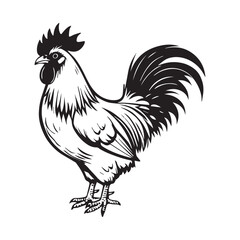 On a white background illustrate a black and white coloring book line art of a bold and simple rooster with large feathers.