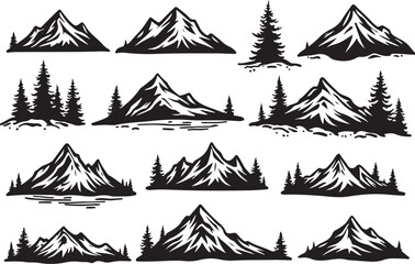 Nature Trails & Evergreen Dreams"