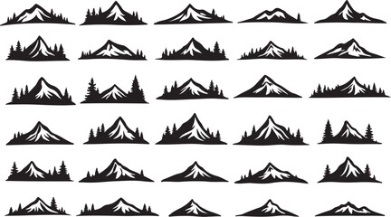 Fototapeta premium Nature Trails & Evergreen Dreams