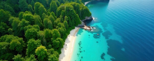 Obraz premium Dense forest meets vibrant ocean, aerial perspective reveals stunning detail , tropical, environment