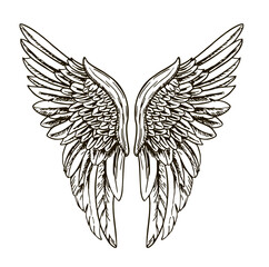 Angel wings or bird. Angel winged glory sketch doodles illustration isolated on white background. Tattoo style image