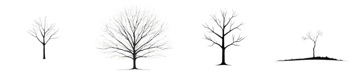 Obraz premium Minimalist isolated tree mockups featuring various bare tree designs for creative projects