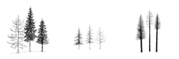 Minimalist mockups featuring hand-drawn conifer trees in a serene, isolated landscape for artistic inspiration