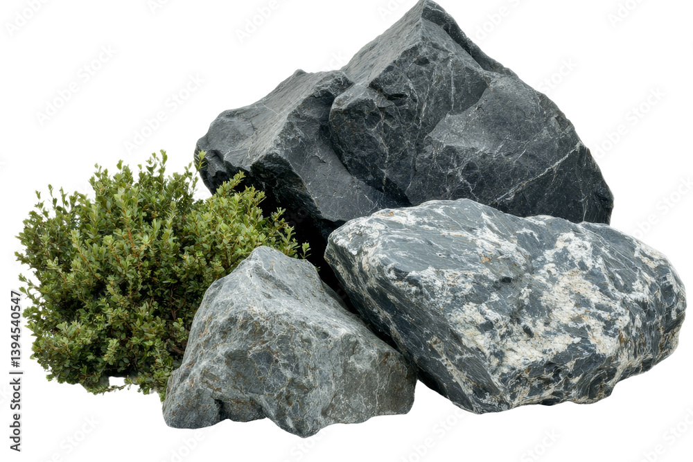 Poster minimalist mockups featuring isolated rocks and moss on a white background for artistic and display 
