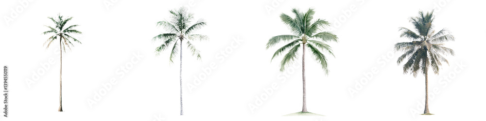 Poster isolated minimalist mockups of tropical palm trees showcasing various styles and perspectives on a c