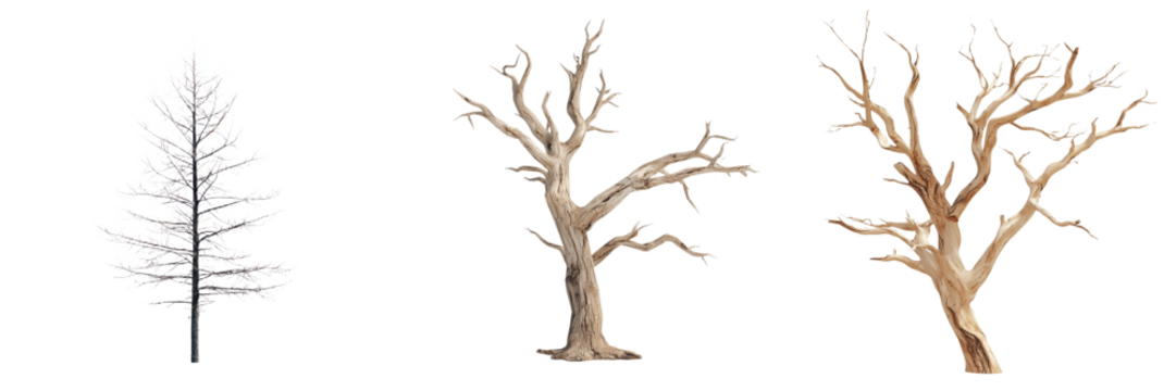 Dark and bare tree mockups showcasing minimalist designs for nature-inspired projects and presentations