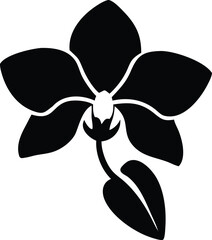 oxeye daisy, orchid, oleander, flower logo