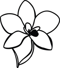 oxeye daisy, orchid, oleander, flower logo