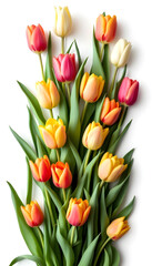 Fototapeta premium Elegant Tulip Bouquet on Soft Background: Fresh Spring and Summer Floral Collection - Perfect for Celebrations andDesign Projects