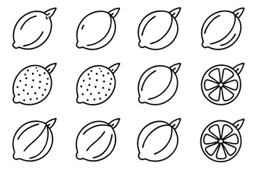 Sweet lemon line art capturing the essence of summer