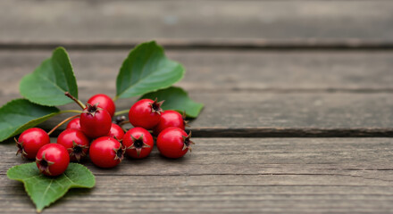 Fresh red hawthorn berries with green leaves on wooden surface. Natural herbal ingredient concept for traditional medicine and seasonal food products