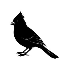 Cardinal Silhouette vector illustration
