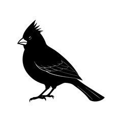 Cardinal Silhouette vector illustration