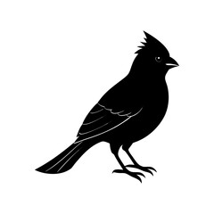 Cardinal Silhouette vector illustration