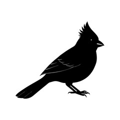 Cardinal Silhouette vector illustration