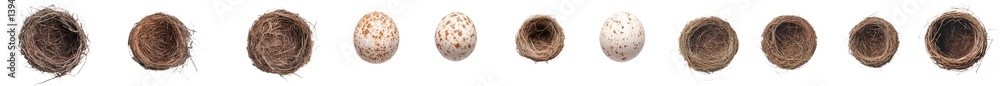 Poster Minimalist mockups of isolated bird nests with varying sizes and designs displayed in a linear arrangement