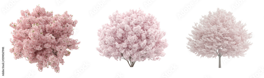 Poster Soft pink flowering trees arranged in a minimalist layout for design mockups