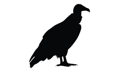 turkey vulture vector art silhouette, Turkey vulture silhouette vector flat illustration design