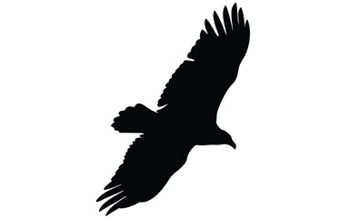 turkey vulture vector art silhouette, Turkey vulture silhouette vector flat illustration design