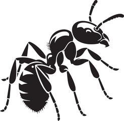 Carpenter Ant Vector | Black Ant Silhouette Clipart Illustration