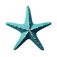 Aqua Starfish with Pearls, Ocean Decor, Transparent Background
