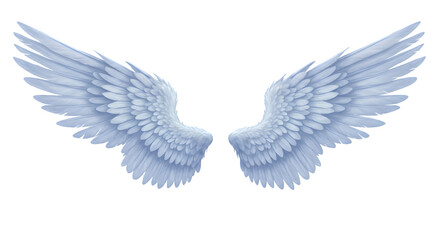 Obraz premium A pair of feathered wings with a light blue hue spread against a stark black background in a symmetrical view