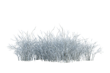 snow covered shrub and small plants isolated on white
