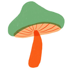 autumn elements illustation decorations