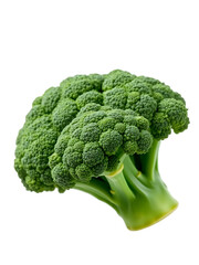 broccoli green vagetable png image