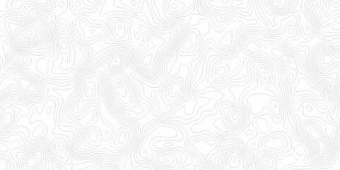 Contour abstract map relief land outline. Topographic map patterns. White wave paper curved reliefs abstract background. Background of the topography map. Abstract pattern with lines.