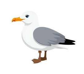 Obraz premium Cartoon Seagull Illustration, White & Gray Bird, Transparent Background