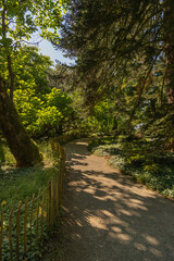 Obraz premium A footpath in a park in springtime with trees in the background