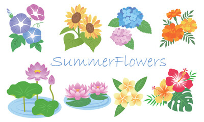 夏の花イラストセット
