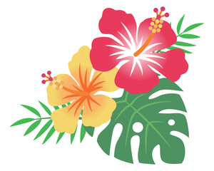 ハイビスカスの花　イラスト