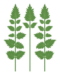 Symmetrical Green Leaves Clean Minimalist Botanical Illustration. AI Generated