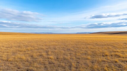 Obraz premium Vast, golden grassland expanse under a partly cloudy sky