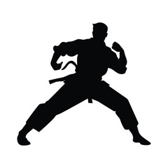 Obraz premium Karate fighting vector silhouette white background