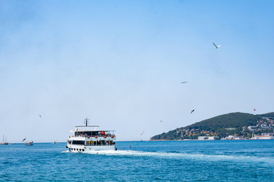 Ferry boat sailing in sea near Istanbul's islands. White ferry cruising near Istanbul adalar region with seagulls. Maritime travel and scenic coastal views