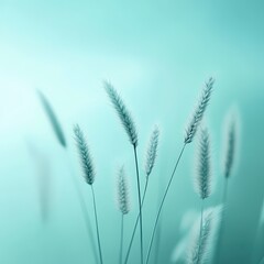 Tall blades of grass